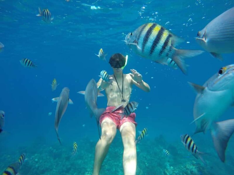 Cozumel: Snorkeling at Playa El Cielo with drinks, ceviche, and more - The Experience in Detail