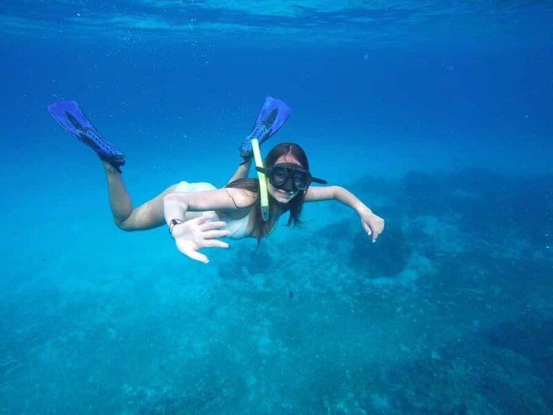 Cozumel: Snorkeling at Playa El Cielo with drinks, ceviche, and more - Who Should Book This Tour?