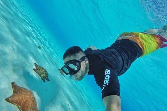 Cozumel Snorkeling Experience! El Cielo Reef from Cancun & Playa del Carmen - Key Points