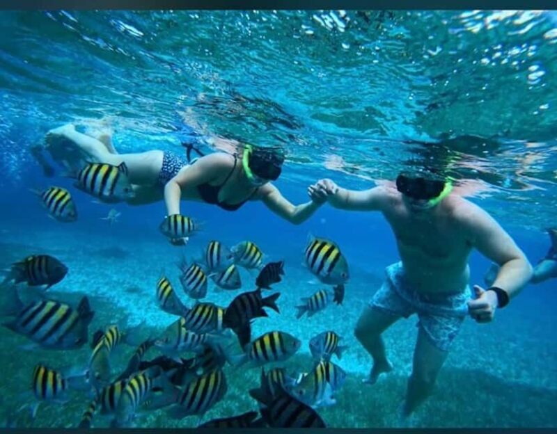 Cozumel: snorkeling on reefs + visit to "El Cielo" - The Tranquil "El Cielo"