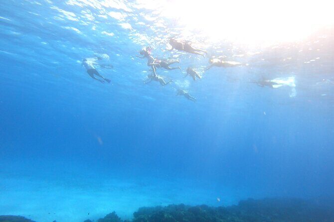 Cozumel Snorkeling Reef Experience with Ceviche and Beers - Who Will Love This Tour?