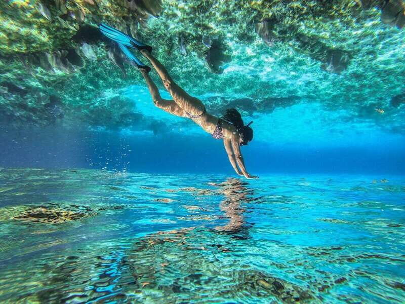 Cozumel: Snorkeling Tour at El Cielo Beach - What Makes This Snorkeling Tour Stand Out?