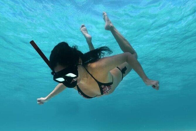 Cozumel Snorkeling Tour: Palancar, Columbia and El Cielo Reefs - In Closing