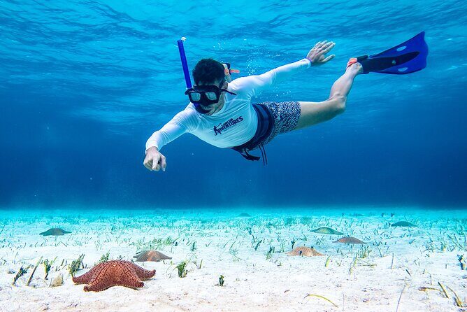 Cozumel Starfish and Tropical Reef Snorkeling by Powerboat with Lunch - FAQ