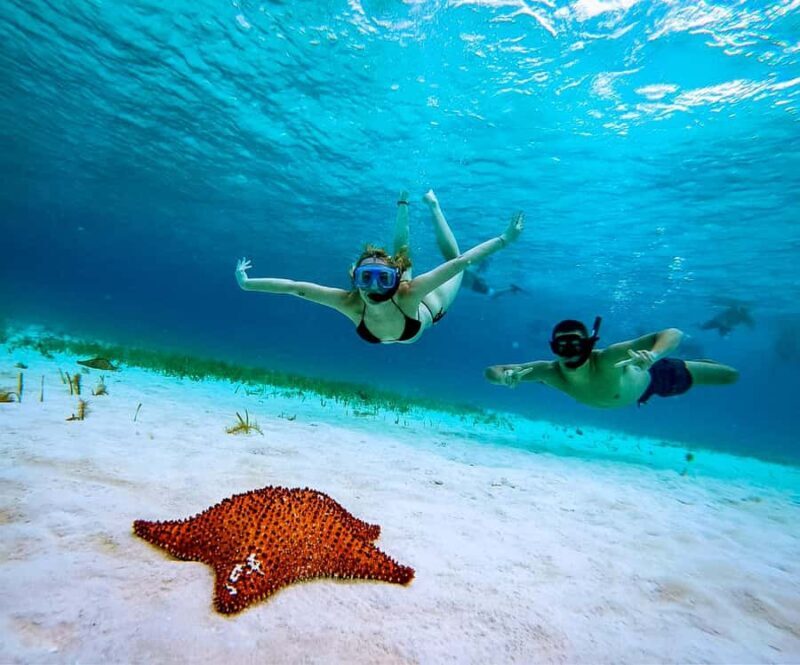 Cozumel: Starfish, Rays and El Cielo Snorkeling Experience - Key Points