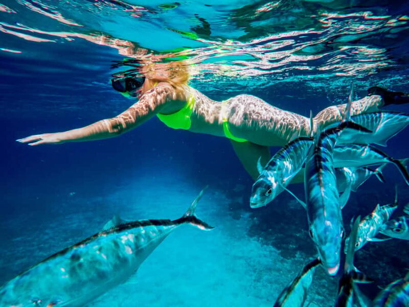 Cozumel: Starfish, Rays and El Cielo Snorkeling Experience - Final Thoughts