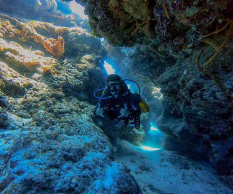 Cozumel: Two reef dives in Marine Park, certified divers - Key Points