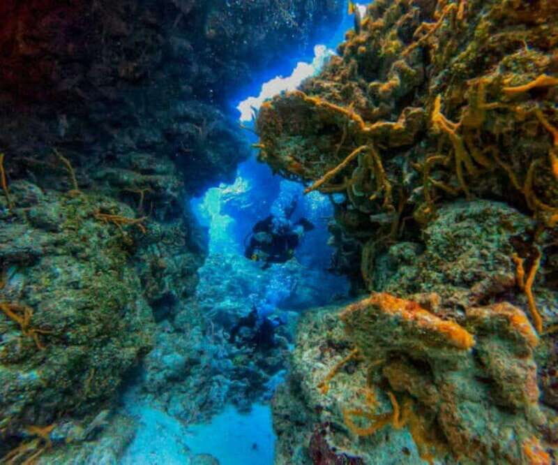 Cozumel: Two reef dives in Marine Park, certified divers - What Sets This Tour Apart