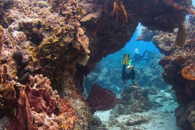 Cozumel underwater 2 Tank Dive by boat - The Itinerary: What to Expect
