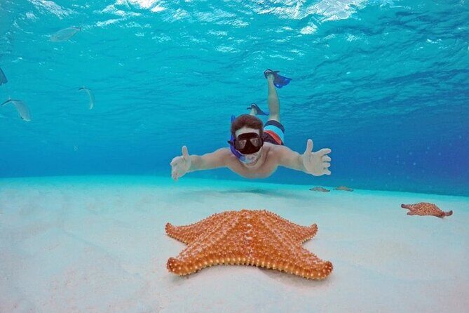 Cozumel Underwater Wonders: El Cielo Sandbar & Reef Snorkeling - Key Points