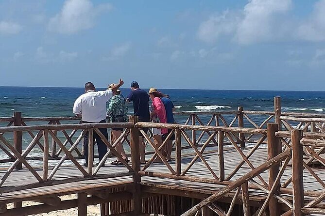 Cozumel Your Way - Transportation and logistics