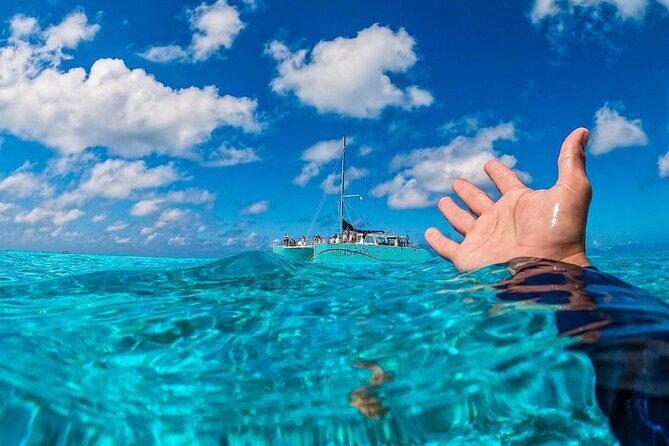Cozumel's Reefs in El Cielo, Palancar and Columbia Guided Tour - An In-Depth Look at the Tour Experience
