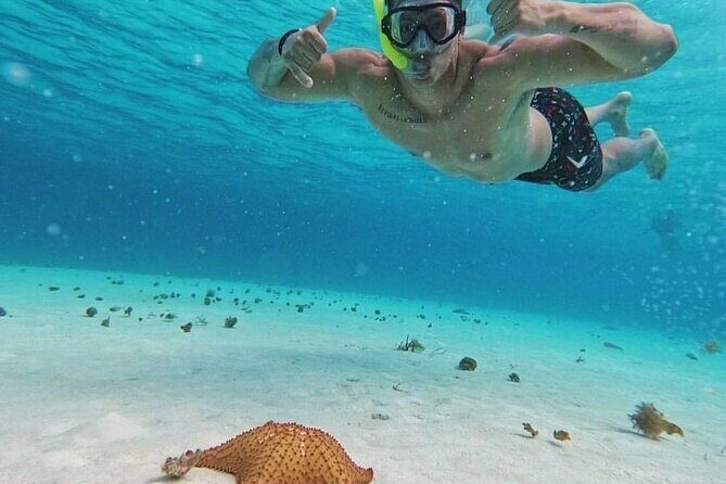 Cozumel's Reefs in El Cielo, Palancar and Columbia Guided Tour - Who Will Love This Tour?