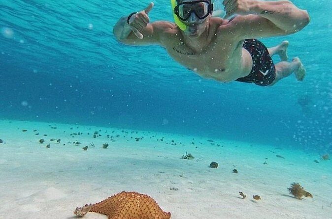 Cozumel's Reefs in El Cielo, Palancar and Columbia Guided Tour - Final Thoughts