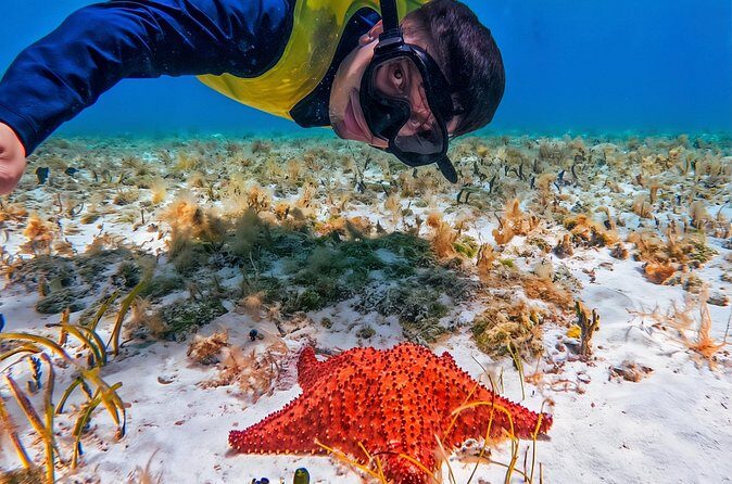 Cozumel's Reefs in El Cielo, Palancar and Columbia Guided Tour - FAQ