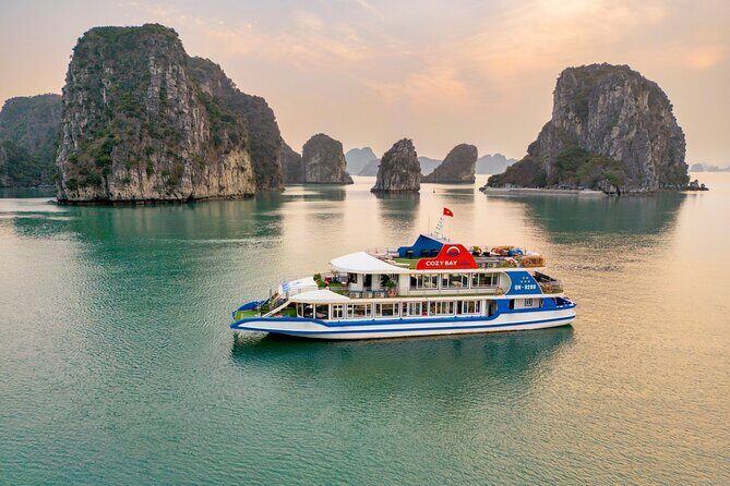 Cozy Bay Premium Halong Day Trip, 5 Star Cruise with Buffet Lunch - Whats Included and What to Consider