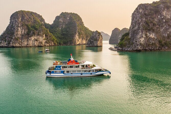 Cozy Bay Premium Halong Day Trip, 5 Star Cruise with Buffet Lunch - Who Is This Tour Best For?