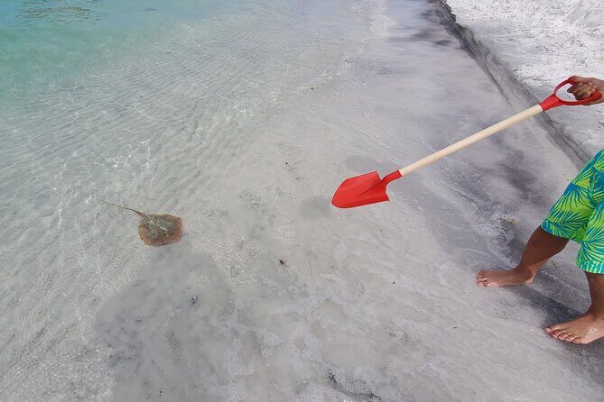 Crab Island Party!! Lily Pad, Paddleboard, Speaker & Cooler - What the Reviews Say