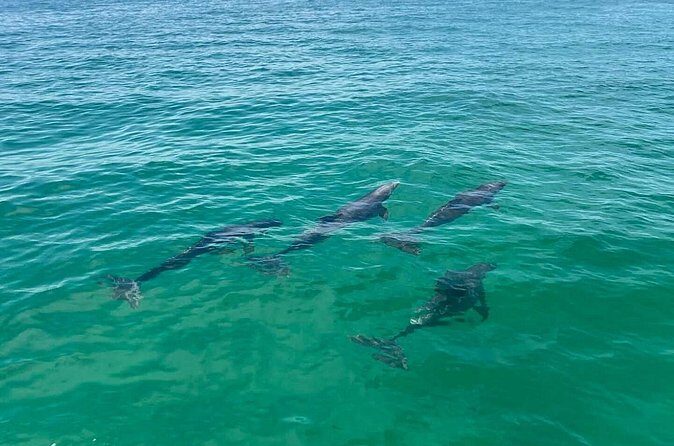 Crab Island Pontoon Rental - The Sum Up