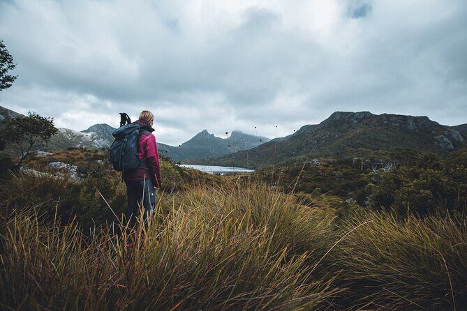 Cradle Mountain Day Tour: Dove Lake Guided Hike with Lunch - Key Points