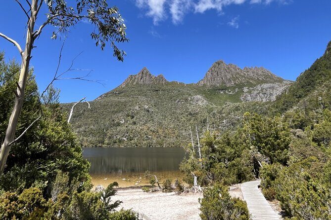 Cradle Mountain Day Tour: Dove Lake Guided Hike with Lunch - Introduction: Why This Tour Might Be Your Best Bet