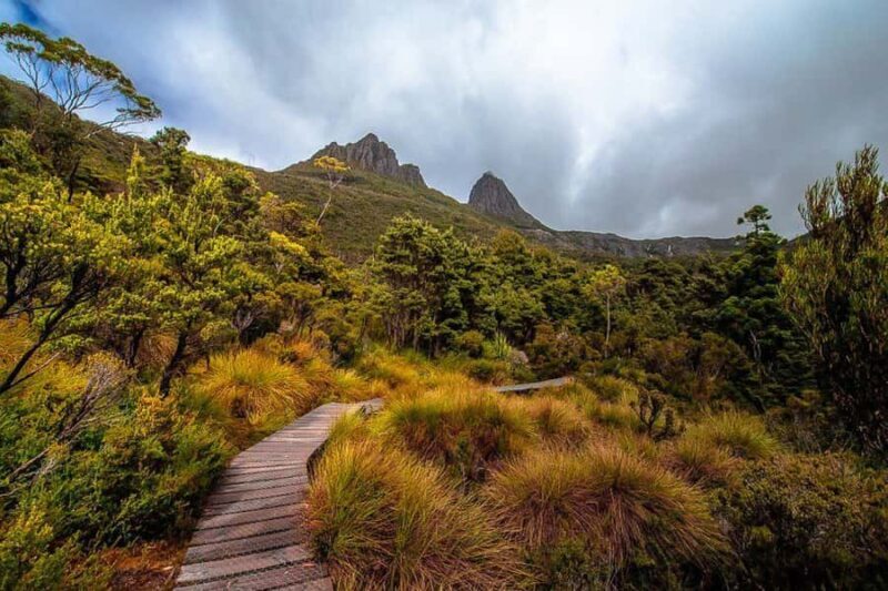 Cradle Mountain: Day Trip from Launceston with Lunch - The Ideal Traveler