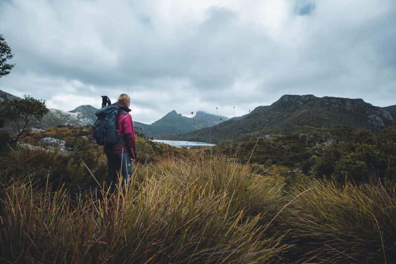Cradle Mountain: Fully Guided Dove Lake Day Tour with Lunch - An In-Depth Look at the Cradle Mountain Tour Experience