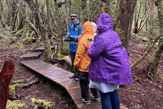 Cradle Mountain Half Day Dove Lake Guided Tour with Lunch - A Detailed Look at the Tour Experience
