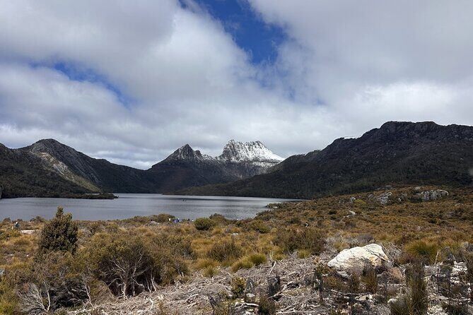Cradle Mountain Half Day Park Explorer Tour with Lunch - Key Points