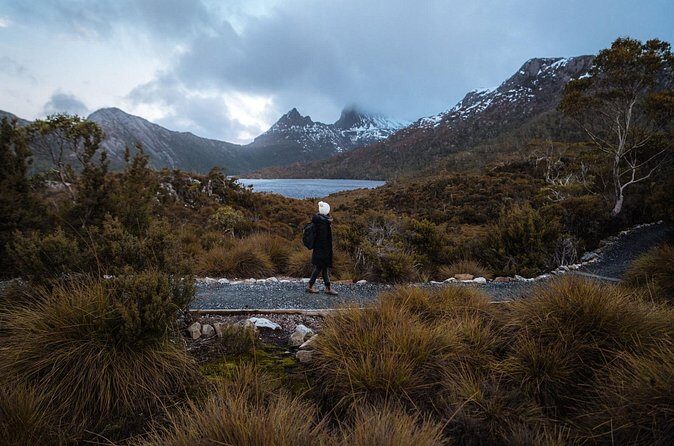 Cradle Mountain Half Day Park Explorer Tour with Lunch - Value for Money