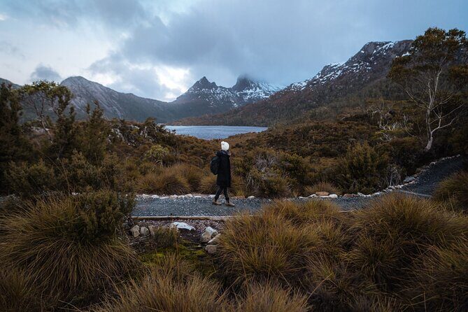 Cradle Mountain Half Day Park Explorer Tour with Lunch - The Experience in Reality – What Travelers Say