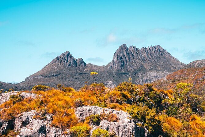 Cradle Mountain National Park Day Tour from Launceston - The Sum Up