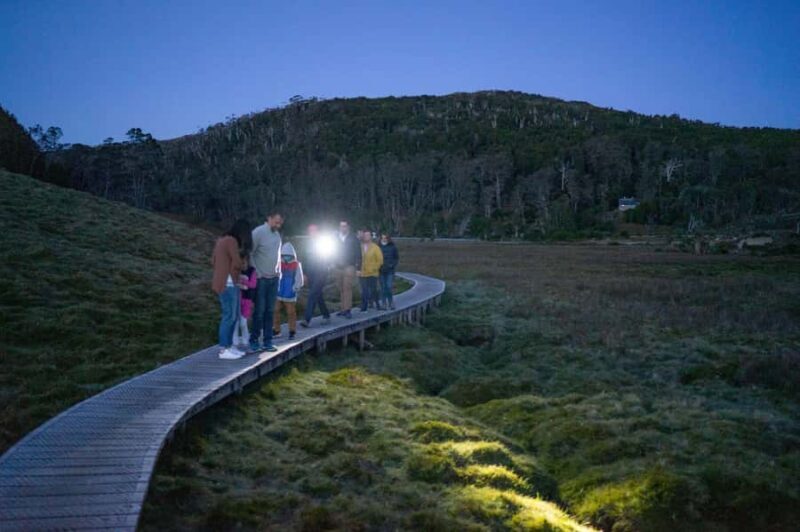 Cradle Mountain Wildlife Spotting after Dark - FAQ