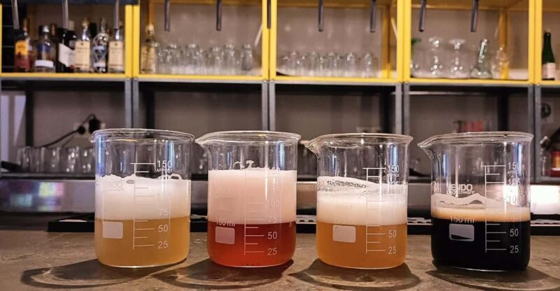 Craft Beer Tasting and tapas in Valencia - Craft Beer Tasting and Tapas in Valencia