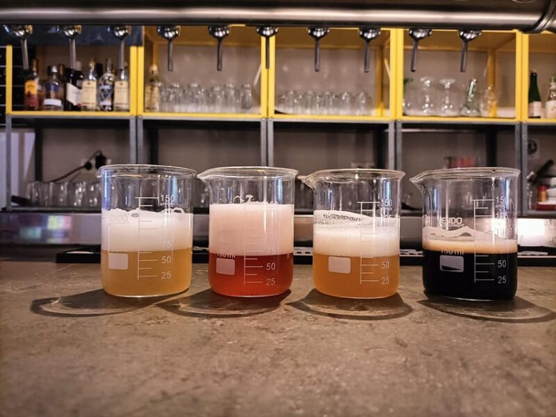 Craft Beer Tasting and tapas in Valencia - Key Points: