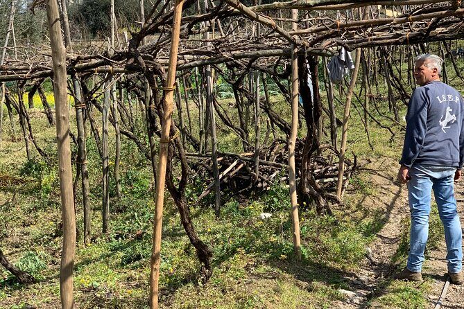 Craftsmanship and Flavors of Sorrento and Amalfi Coast - Practical Details and What to Expect