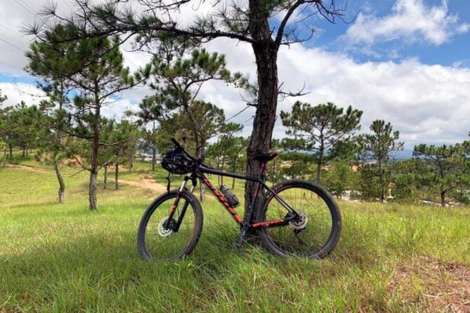 Crazy 8 Mountain Bike Tour from Dalat - An In-Depth Look at the Crazy 8 Mountain Bike Tour