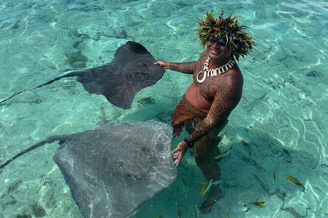 Crazy sea horse Bora Bora Comfortable boat, snorkeling and lunch - Who Is This Tour Best For?