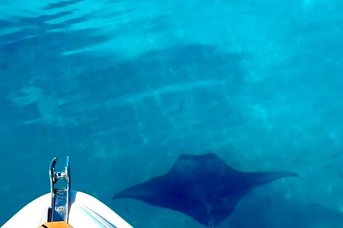 Crazy sea horse Bora Bora Comfortable boat, snorkeling and lunch - The Sum Up: Why You Should Consider This Tour