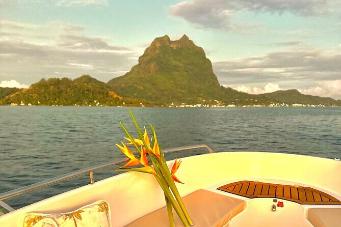 Crazy sea horse Private Sunset Tour in Bora Bora - The Sum Up: Is It Worth It?