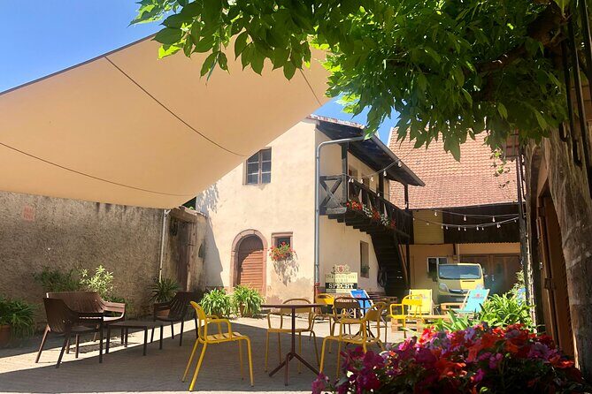 Crazy senses! - Key Points