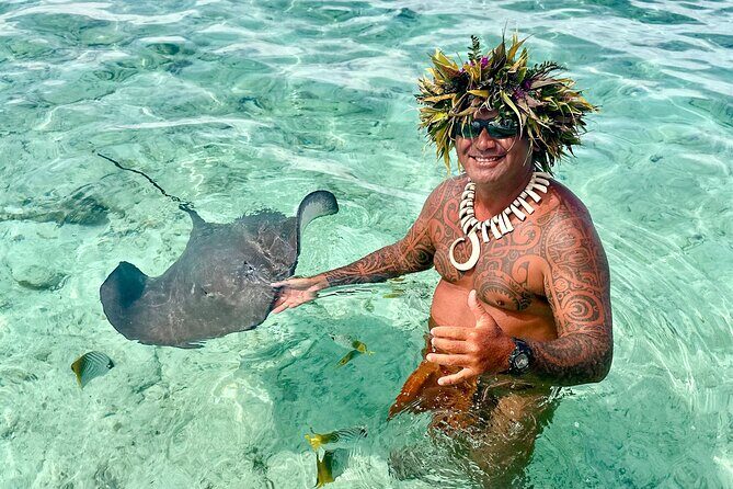 Crazyseahorseborabora Comfortable boat , sensational snorkeling . - Key Points