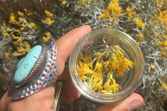 Create Energetic Flower Essences and Reconnect with Nature - The Sum Up