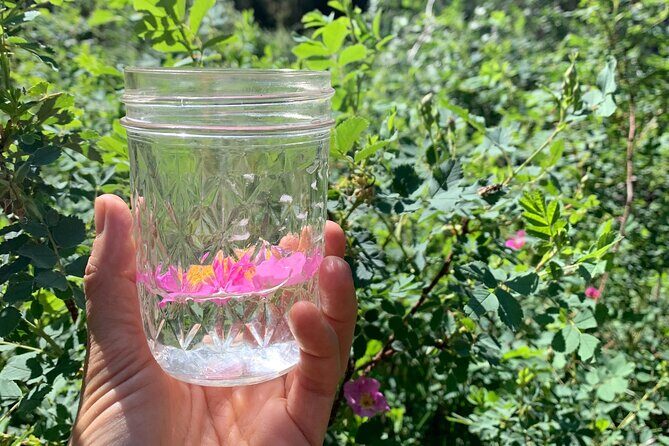 Create Energetic Flower Essences and Reconnect with Nature - FAQ