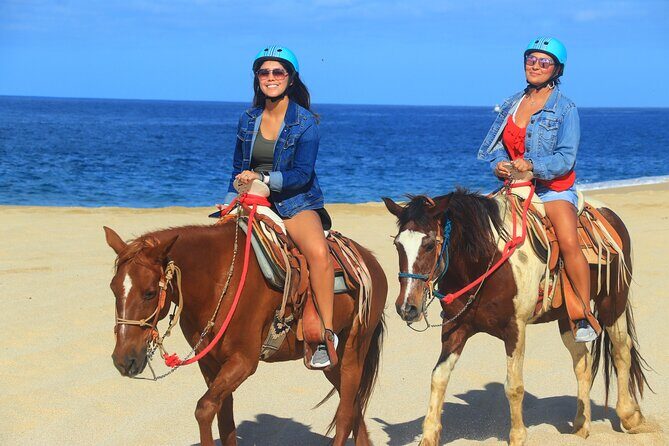 Create your COMBO: Choose 2 of the Best Tours in CABO - Why We Think It Works Well