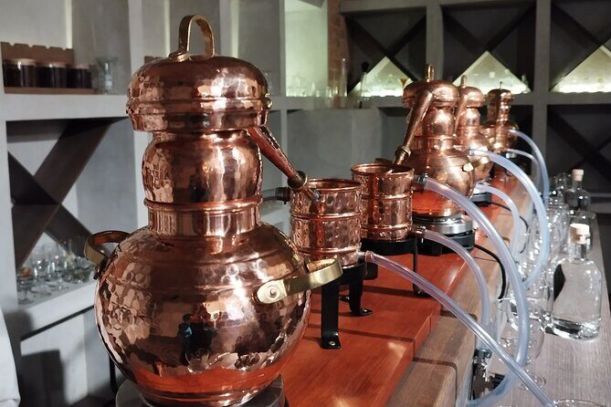 Create your own Gin at Riga Gin Laboratory - The Venue and Logistics