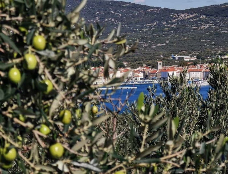 Cres Olive Harvest Tour - FAQs