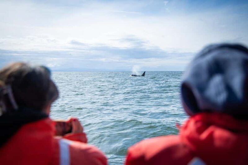 Crescent Beach: Sunset Wildlife Cruises in BC - An Introduction to BC’s Coastline by Boat