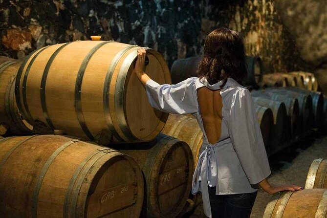 Cretan Delights - Wine, Olive Oil & Cooking Workshop from Chania - A Full Breakdown of the Tour Experience