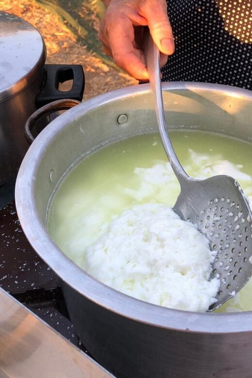 Cretan Farm Tour with Cheese-Making & Food Picnic - Who Will Love This Tour?